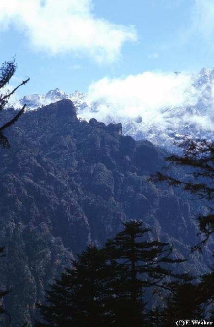 Bhutan - Bergbossen