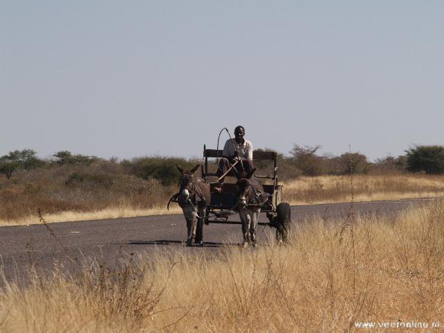 Botswana - Kalahari Express