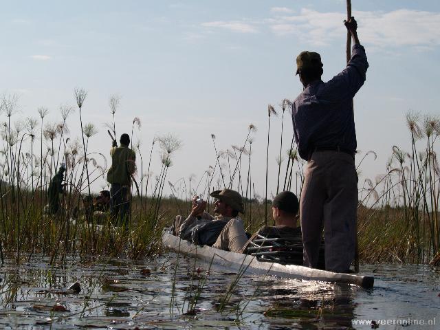 Botswana - Mokoro's in Okavango