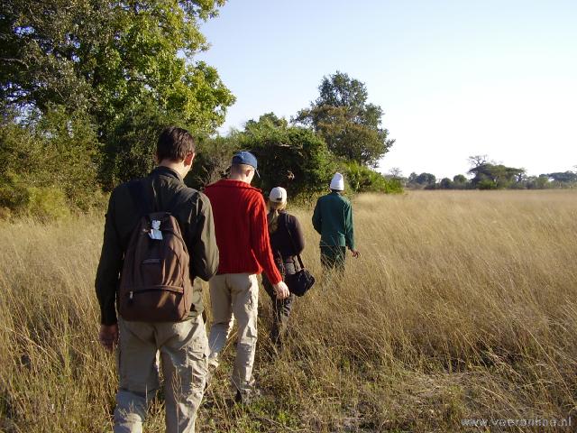 Botswana - Wandel Safari