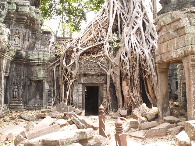 Cambodia - Ta Phrom temple