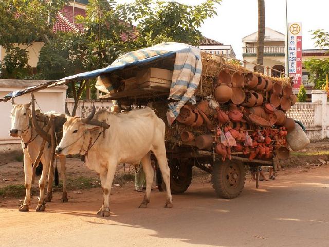 Cambodia - Local Transport