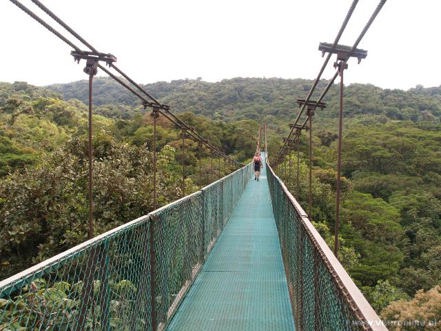 Costa Rica - Hanging bridge