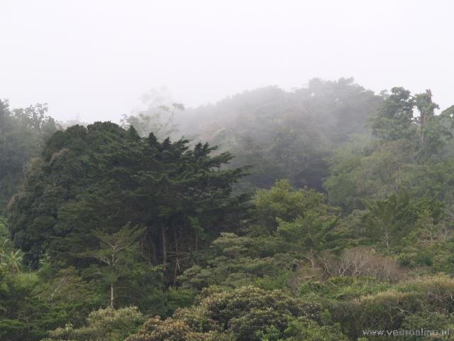 Costa Rica - Mist forest Monteverde