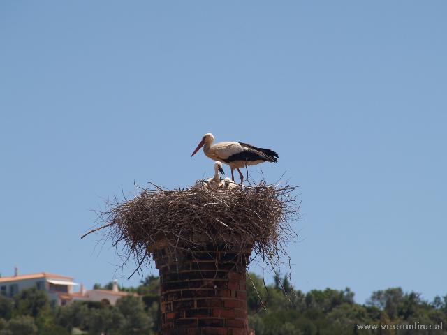 Portugal - stork